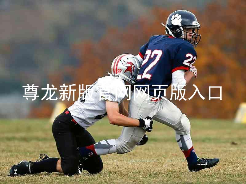 尊龙新版官网网页版入口