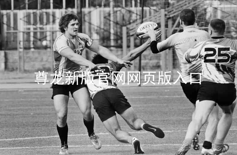 尊龙新版官网网页版入口