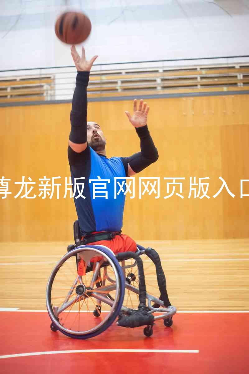 尊龙新版官网网页版入口