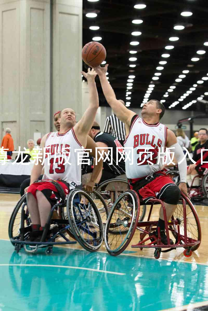 尊龙新版官网网页版入口