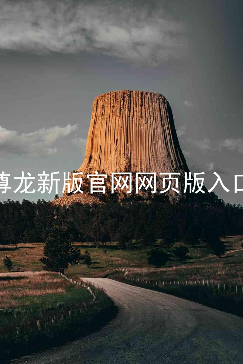 尊龙新版官网网页版入口